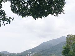-广州市流溪河国家森林公园