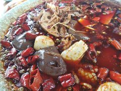 -青城甲(青城山店)