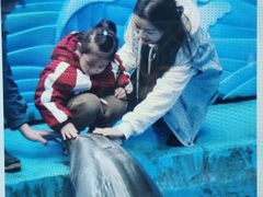 -海合安成都极地海洋公园