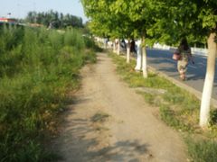 -白塔河路(地铁站)