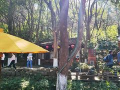 -天目湖山水园