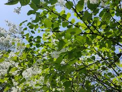 -千佛山风景名胜区-历山院