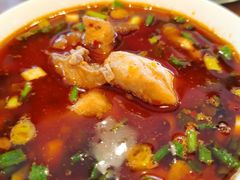 -中和远东火锅兔(老店)
