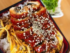 -晓寿司·日本料理(望京博雅店)