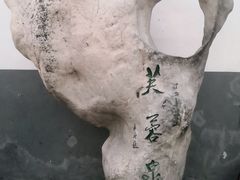 -芙蓉泉·烤鸡爪(芙蓉街店)