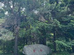 -黑龙江省森林植物园