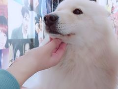 -肆兮眼镜·蔡司·徕卡战略合作店(大坪店)