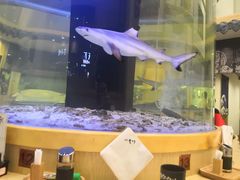 -吉川轩·日本料理(万达店)