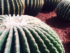 -南通洲际绿博园