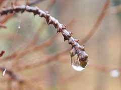 -柳州肥姨妈大骨螺蛳粉(老闵行店)