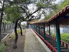 -高尔山公园
