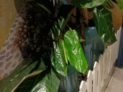 -火吧PTV聚会餐厅(10号店)