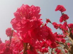 -元大都城垣遗址公园