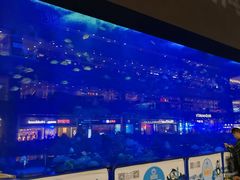 -成都浩海立方海洋公园