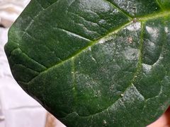 -七欣天香辣蟹火锅(苏州塔园路店)