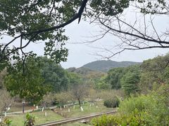-白马涧龙池景区
