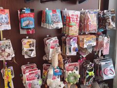 -宠爱国际动物医院· 猫科· 外科·中兽医(长白店)