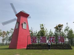 -洪湖湿地生态园