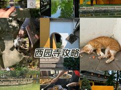 -西园寺