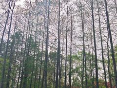 -长广溪湿地公园