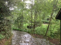 -都江堰中华大熊猫苑