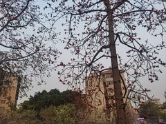 -章记正宗南岗鱼蛋火锅