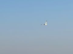 -丁香湖公园