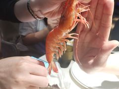 -加餐海鲜自助(宝龙一城店)