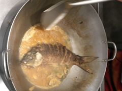-阿五黄河大鲤鱼(英协路店)