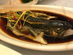 -敦煌富国酒店