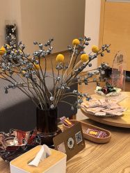 -ROYEA茹彦祛痘·问题肌肤修护中心