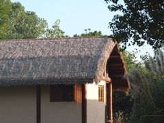 -良渚古城遗址公园