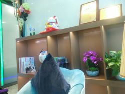 -清颜专业祛痘连锁店