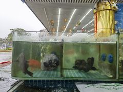 -南湾海鲜餐厅(南澳海鲜街店)
