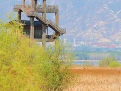 -野鸭湖国家湿地公园