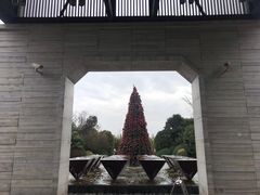 -上海崇明金茂凯悦酒店