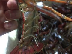 蒜泥龙虾-盱眙虾神於氏龙虾(夫子庙红街店)