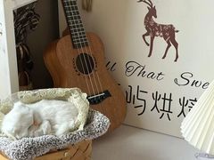 -鹿屿DIY烘焙·公司团建·生日会包场(广州东站店)