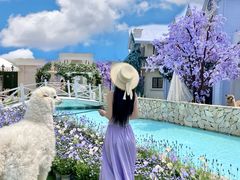 -Blue Concept Cafe&Farm·關於藍