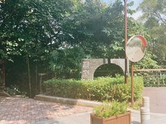 -深圳仙湖植物园