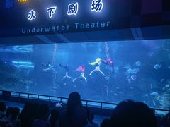 -泉城欧乐堡海洋极地世界