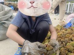 -大连北马山庄