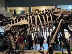 -自贡恐龙博物馆