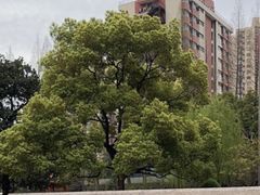 -复旦大学附属中山医院(西院区)