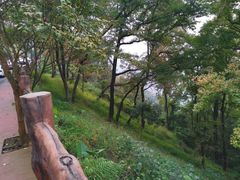 -广州市石门国家森林公园