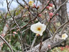 -盐官日光域房车营地·有盐餐厅