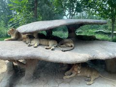 -北京野生动物园