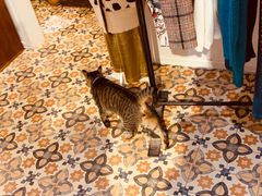 -恋物百货商店(华侨城店)