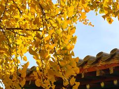 -北京石刻艺术博物馆(五塔寺)