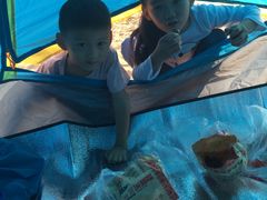 -瑶湖郊野森林公园